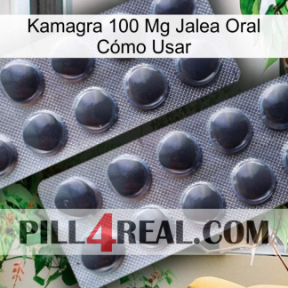 Kamagra 100 Mg Jalea Oral Cómo Usar 31